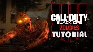 Call of Duty BO4 - ZOMBIES (Tutorial)