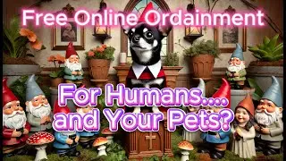 Getting Ordained Online: Humans, Pets, and the Gnomean Perspective (Gnome Talk Ep. 9)