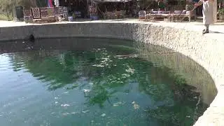 Cleaning Cleopatra Spring at Siwa Oasis , Western Desert, Egypt from algae