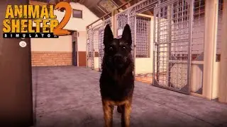 Animal Shelter 2 #66 - Taking Care Of Everyone - Let's Play
