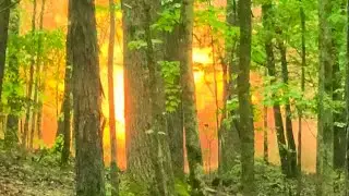 45 pounds of tannerite. AKA Aluminum powder and Ammonium Nitrate
