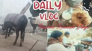 Aaj teeno Saheliyo ne khaye Gol Gappe😋||Happy Lohri aap sabhi ko||🙏🙏
