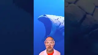 Point Nemo