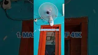 Fan | Wallfan Collection ‼️#fan  #ventilateur #ventilador #kipasangin  #funny