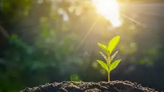 China-EU Cooperation: Enterprises seek green solution to achieve carbon neutrality