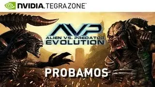NVIDIA TEGRAZONE: AVP: Evolution