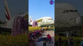 #DubaiGarden#DubaiGardens#DubaiNature#DubaiLandscaping#DubaiTourism#DubaiFlowers#DubaiParks#DubaiBo