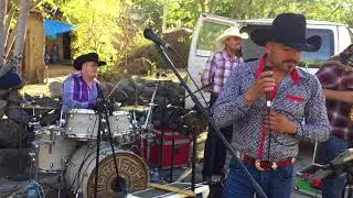 La Riqueza norteña - Los Pinos Y los Ciruelos