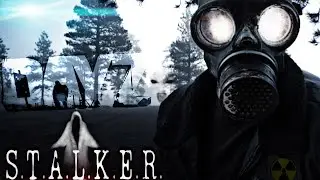 DayZ STALKER Rp - История лапы  #dayz #stalker #RP #ClearSoul