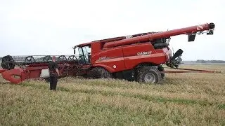 Case IH 9250 Axial-Flow Gets Totally Stuck in The Muddy Field During Harvest | Danish Agriculture