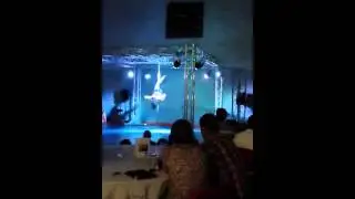 Emily Fisher Pure Pole Showcase 2013