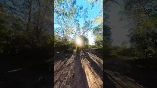 202506 Whitesands Walk @ NSW Australia