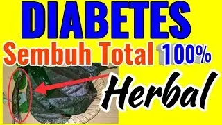 Alhamdulillah!!Sudah ditemukan obat diabetes paling Ampuh,100% Alami