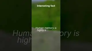 Interesting fact 🙂| Human memory is highly selective  #physicology #motivation #physchology #nature