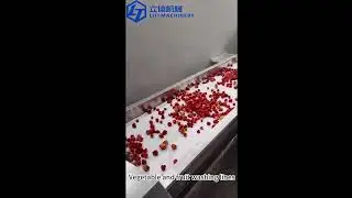 Vegetable and fruit washing machine