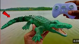 Remote control RC crocodile 🐊