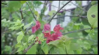 Excellent Moodbidri - Campus View 2023