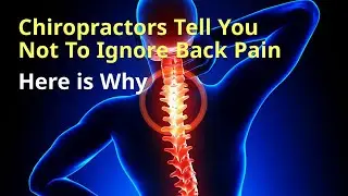 Chiropractors in Charlotte And Back Pain Your Charlotte Chiropractor Explains