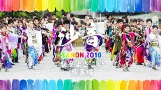 能登よさこい2018｜いおり屋グループ演舞『沙音総集編』（全国）