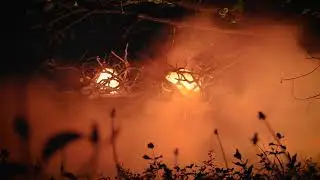 Harmony x Hypnus Records Teaser Video 2019