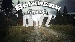 Dayz ВЫЖИВАЧ ДЕНЬ 1 PVP NORAID