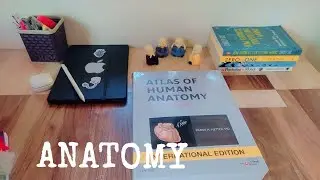 Anatomy Atlas Netter's- 1st year MBBS Books