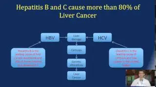 Liver Cancer (HCC)