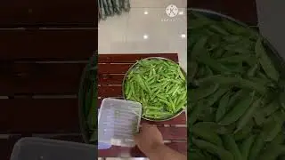 Store Fresh Peas For One Week