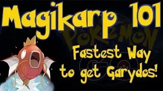 Magikarp 101! Самый быстрый способ получить Гиарадоса в Pokemon GO! (Без системы напарников и Pin...