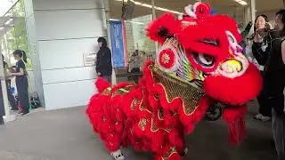 Lion Chinese Dance at Paul Hom Health Asian Clinics• VN Cares•HLUB 4/27/2025
