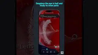 Virtual Eye Pro app for Android, iOS #eyeanatomy #MedicalApp #Ophthalmology #Eye3D #EyeDissection