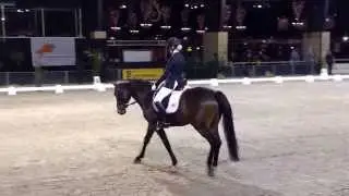 Ilse Hummel met haar kür op muziek in Zuidbroek met Eliwando (Wilawander x Beethoven). Klasse L2 '14