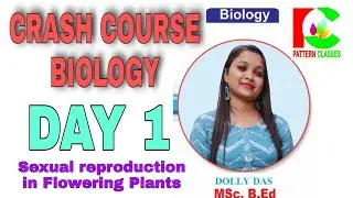 Pattern classes : Crash course Biology Day 1 : Sexual Reproduction in Flowering Plants