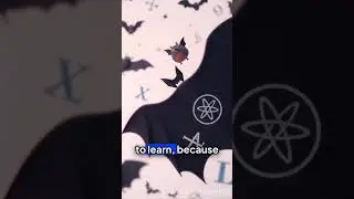 Why Bats Hang Upside Down