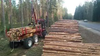 Bison Kranman 10000 and Vimek harvester in pine stand nearby Engure, Latvia