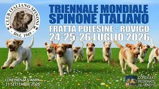 Triennale mondiale spinone italiano - Fratta Polesine (RO)