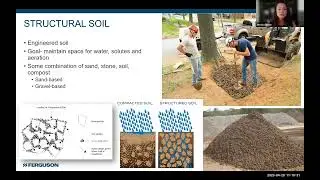 Tree Boxes and Suspended Concrete Systems for Green Stormwater Infrastructure