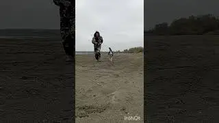 По песочку. Финансовая помощь бездомным собачкам: 2202 2056 2556 3355- Александр К.