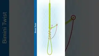 #Shorts How To Tie The Bimini Twist
