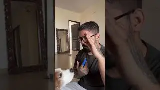 Dog toothpaste,toothbrush review