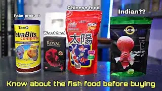 Most important aquarium video ever | தமிழ் | betta fish food | gold fish food | Flowerhorn food