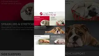 SPOT Ethical Pets Sleep Zone  Cave - Pet Bed for Cats and Small Dogs #shorts #Cats and Small Dogs