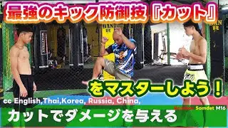 Защита от ударов! Освойте технику 
