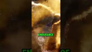 Standing Strong Like a Bison: Face Every Storm #shorts #bison #motivational #animals
