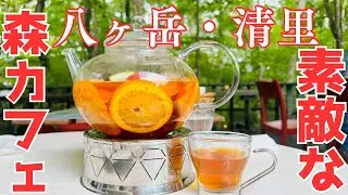 【八ヶ岳倶楽部／森のカフェで美味しいフルーツティーを飲んできた】