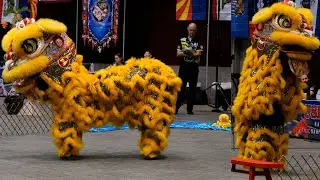 USDLDF National Dragon and Lion Dance Championships 2023 Women Austin Texas- mua lan 4K