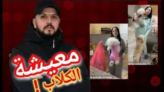 روتيني اليومي خرج على السيطرة 😳 | كي تولّي حياة الكلاب أغلى من حياة البشر