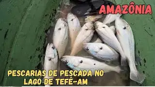 Pescaria de Pescada no LAGO de TEF&Eacute;