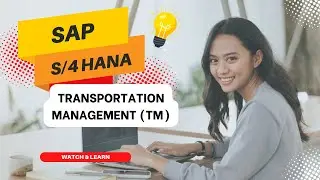 SAP Transportation Management TM Overview Online Class |  Multisoft Systems