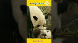 Amazing facts about animals 😱 #shorts | #amazingfacts @Mr Gyani Facts  @Anand Facts  #viral #short
